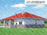      A-217-1P -  