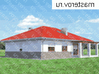      A-217-1P -  
